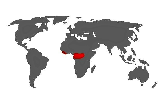 Agapornis swindernianus - mapa vyskytu
